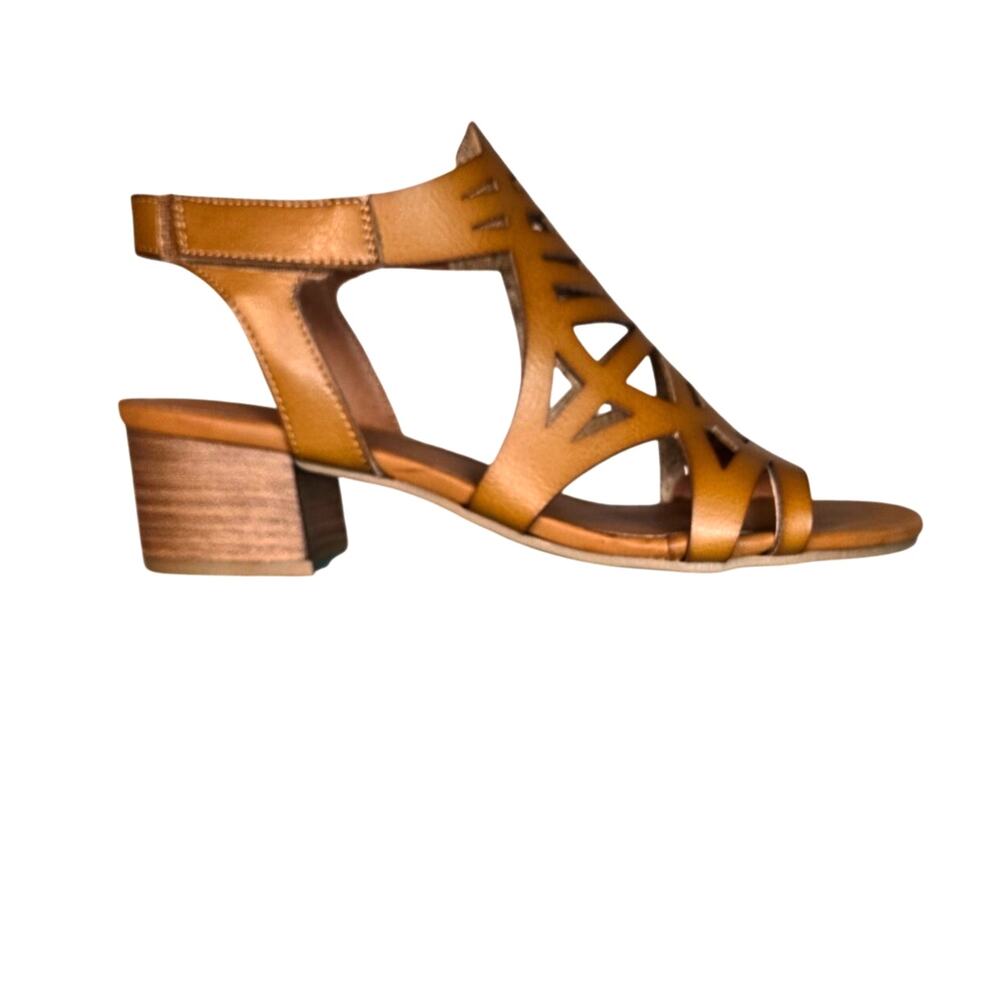 Baretraps Velvet Women's Block Heel Brown Shoe 8.5 NIB